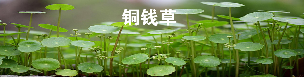 故事很长